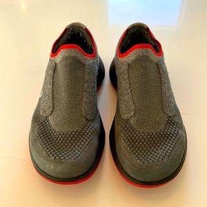 AllBirds Dasher Staple Pigeon